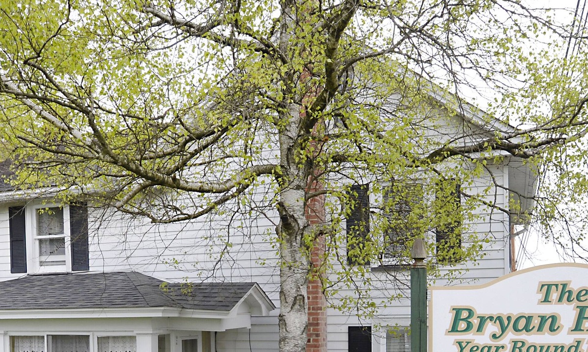 James Creek House | Built in the 1850's, this home has a big story to tell! Boat park. avail.
