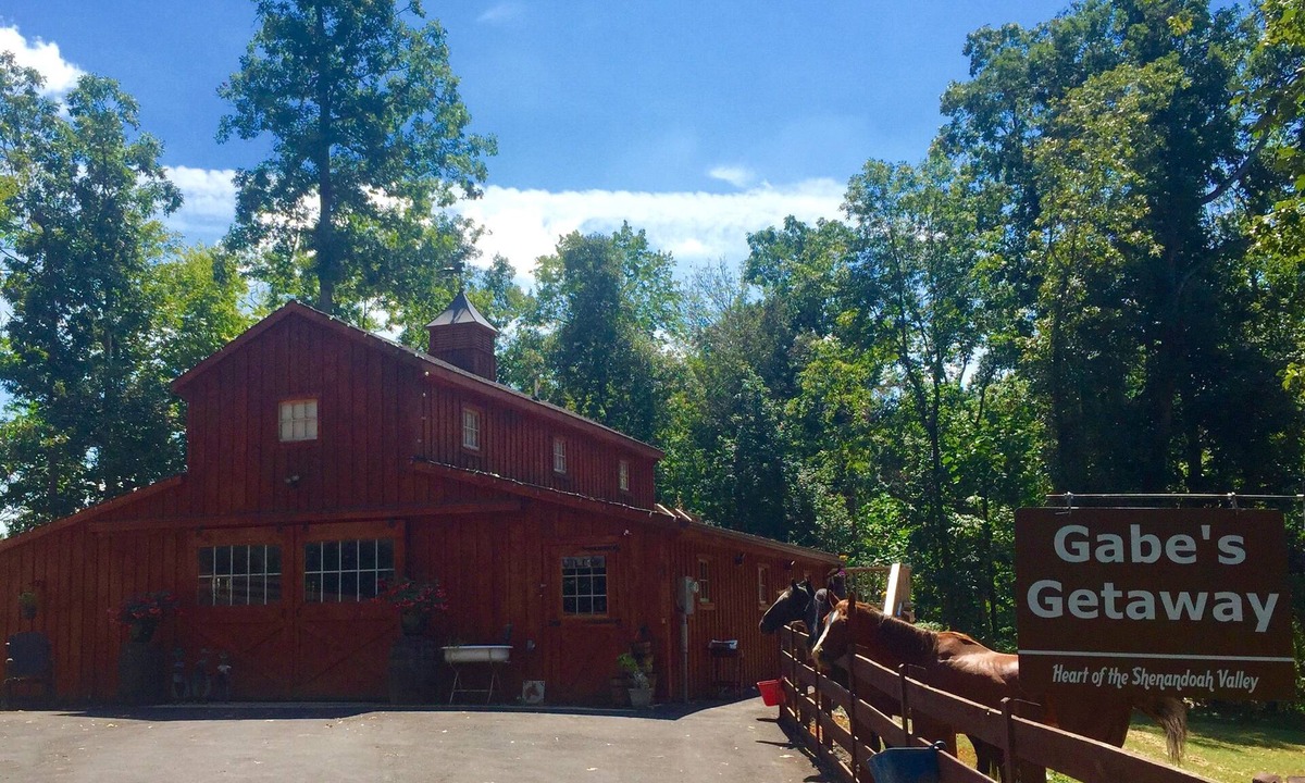 Broadway Apartment | Come visit and spend some time with our 2 and 4 legged friends!