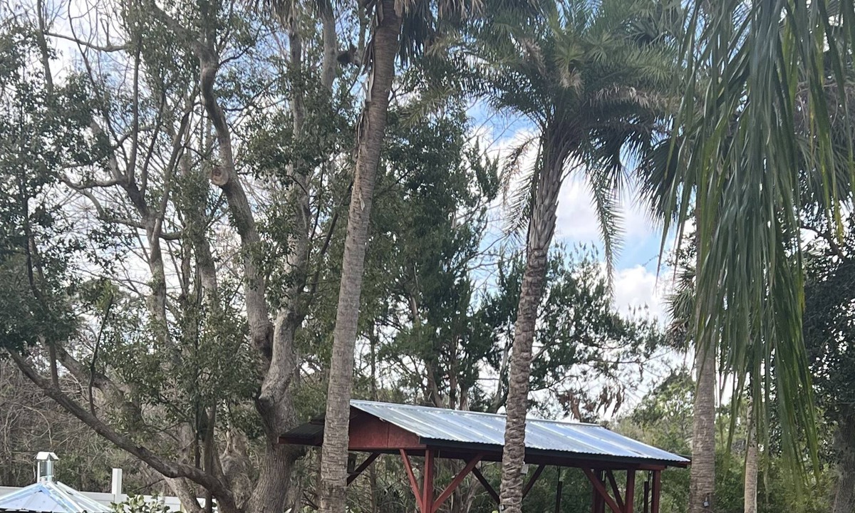 Oak Hill House | Cozy home half mile from Indian River. Great location for fishing and much more.