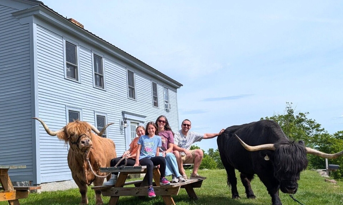Loudon Apartment | Farmhouse Apartment on a Highland Cattle Farm - A