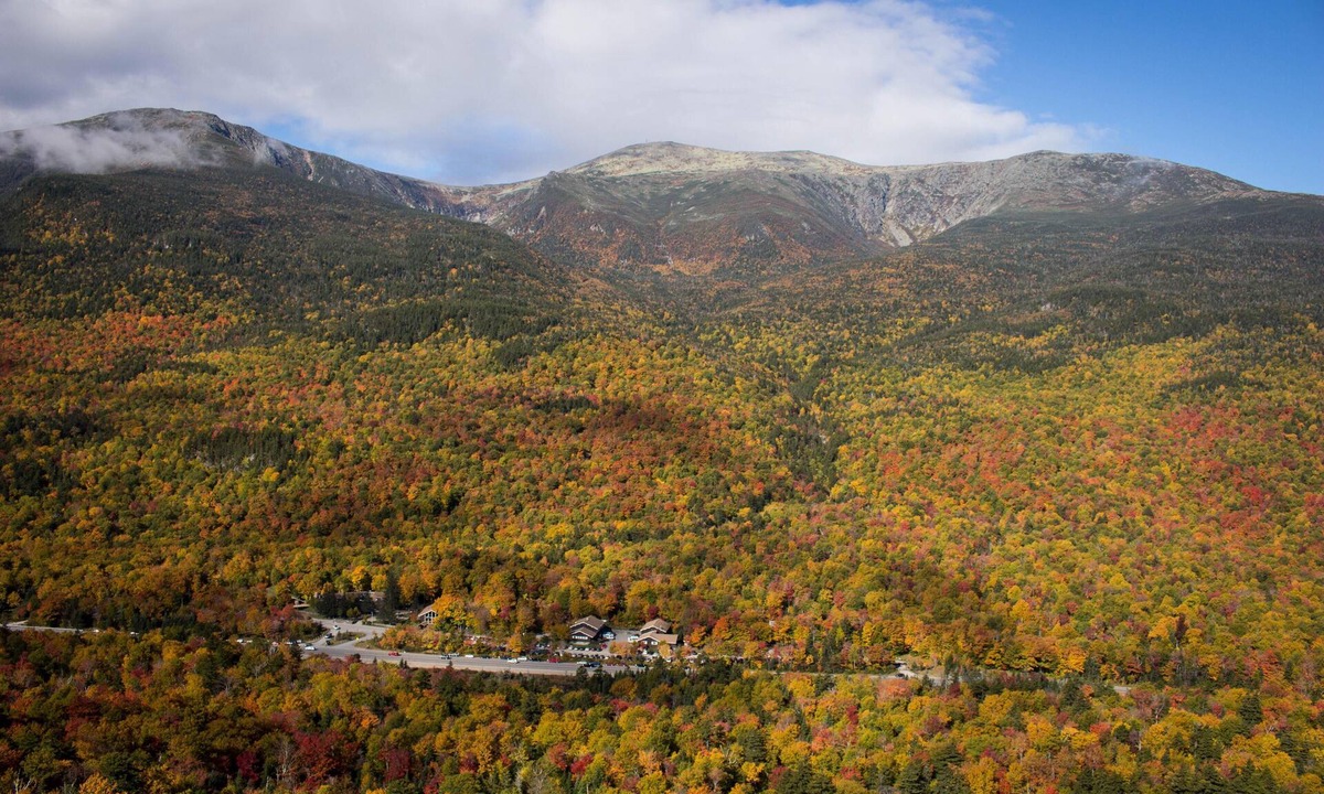 Pinkham's Grant Condo | Room, Double Bed, 2 Bunks, Shared Bathroom in a boutique hotel