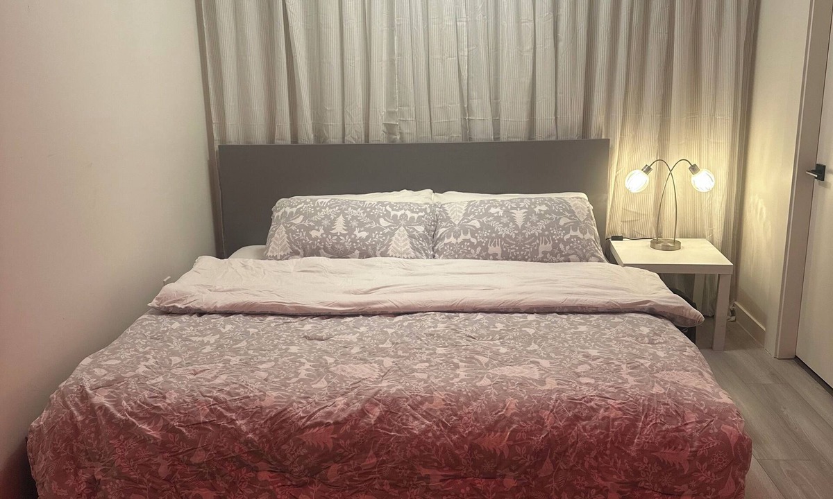 Mission Apartment | Self contained studio with small kitchen and washroom.