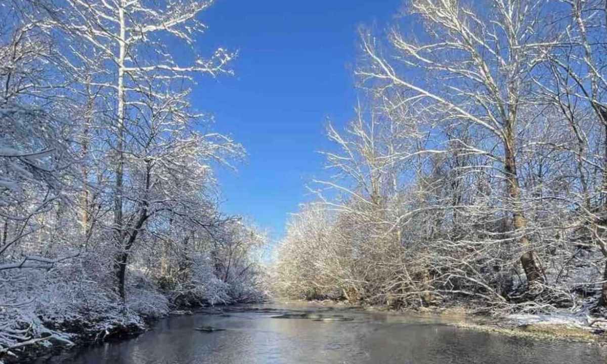 Edinburg Cottage | Shenandoah Farm Cottage. River Access , Sweeping Mountain Views and Pet Friendly