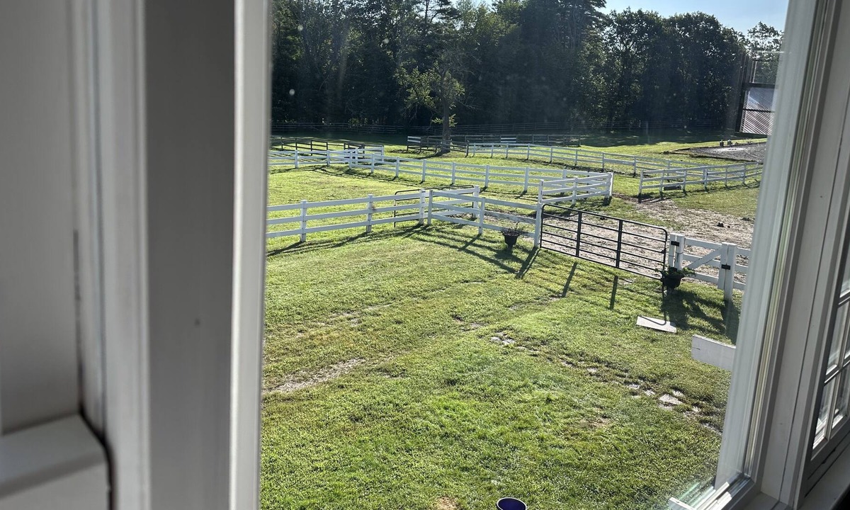 Sanbornville Apartment | Spacious studio on a beautiful working horse farm