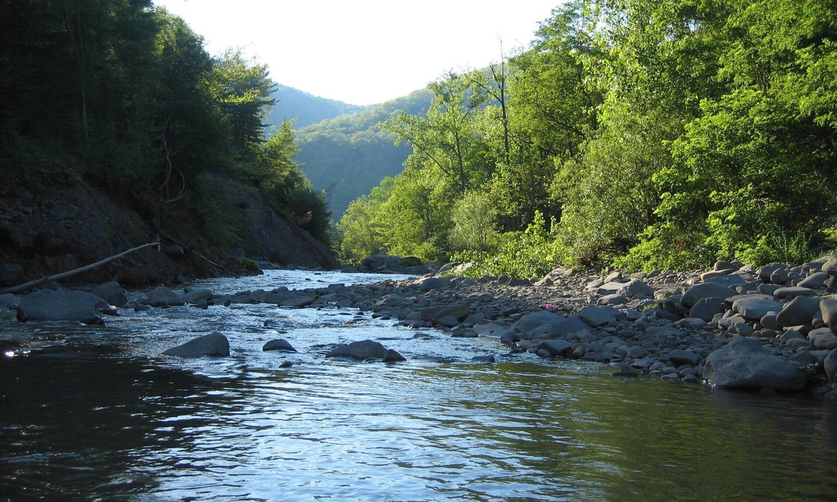 Chichester Apartment | Streamside Catskill Mountain House