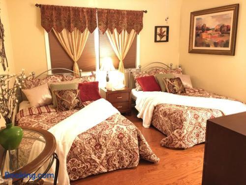 Clinton House | The Oasis