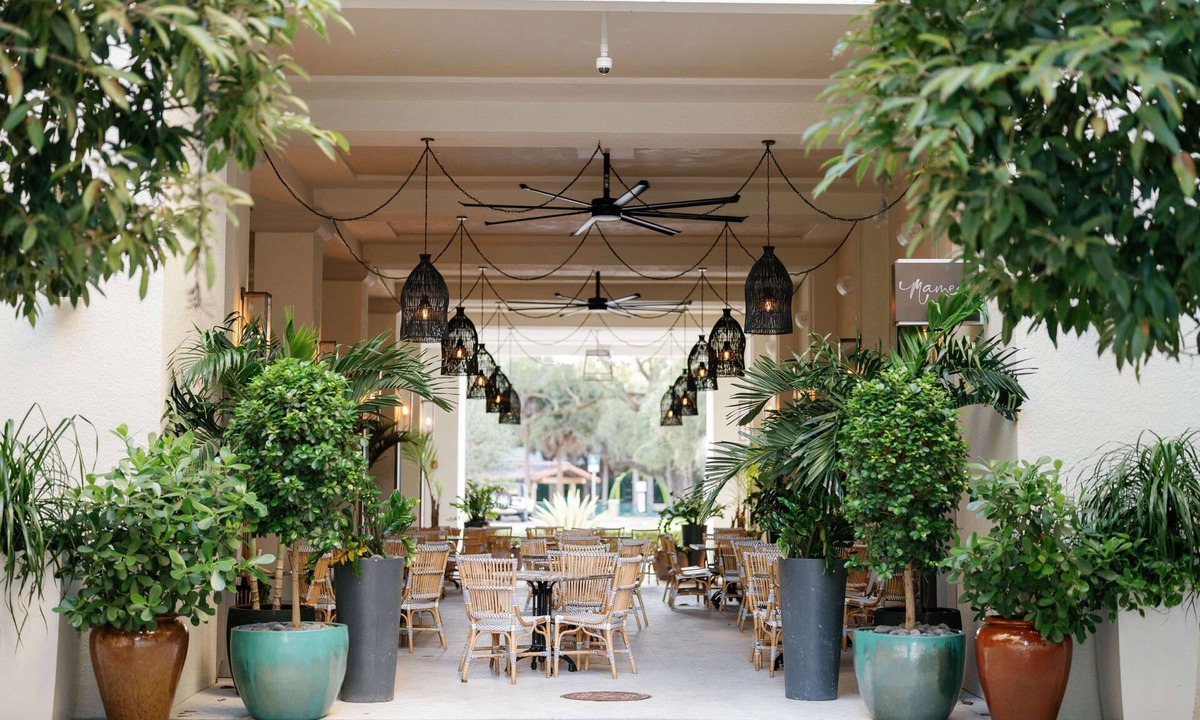 Coral Gables Hotel | THesis Hotel Miami Coral Gables, Curio Collection by Hilton