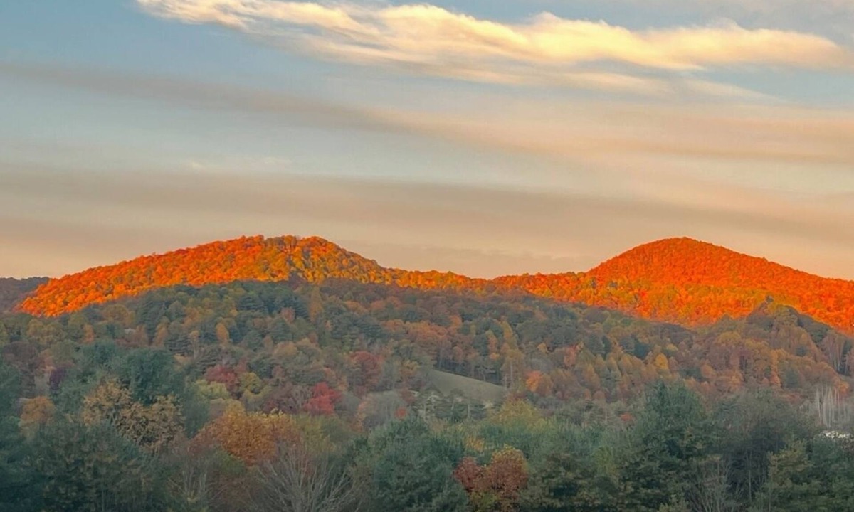 Cullowhee House | Two Cozy Designer Tiny Homes Private Compound Mountain Views Near Lake Glenville