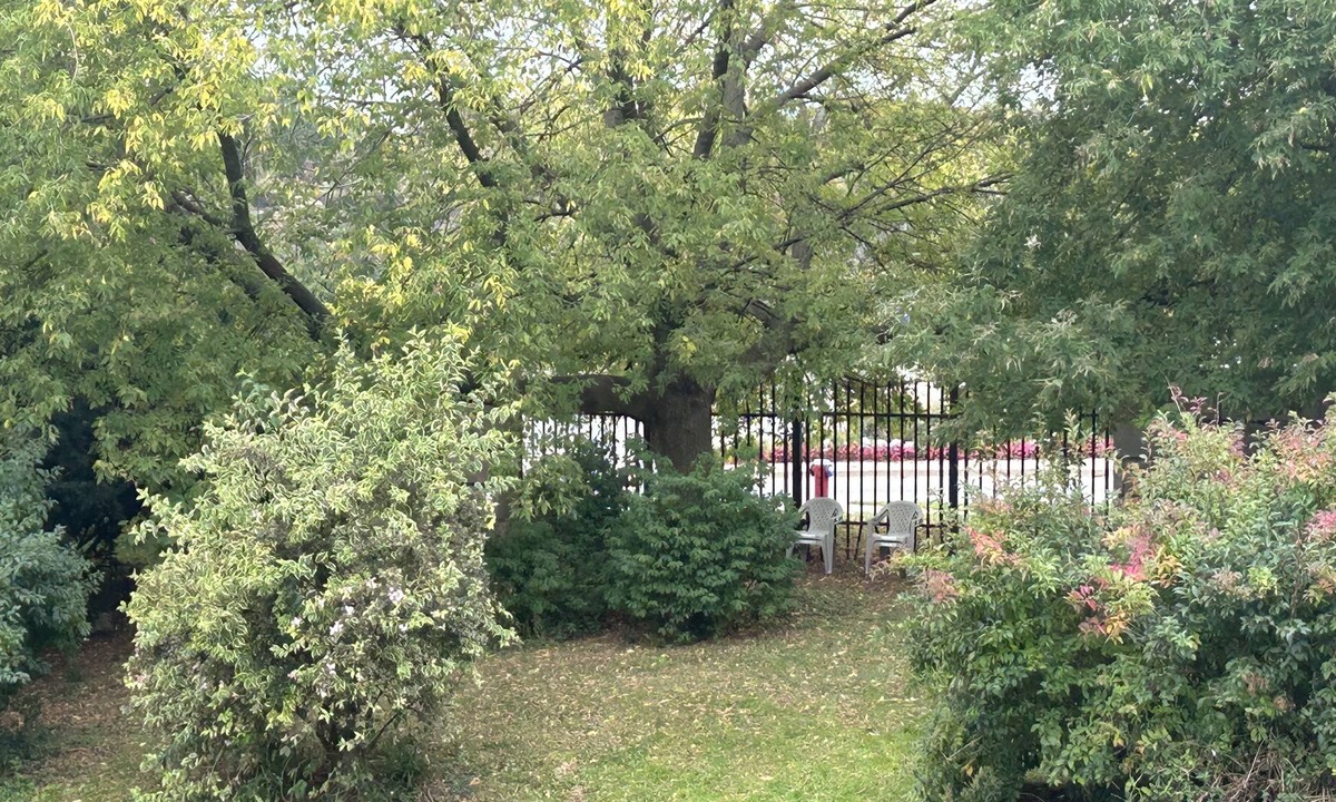 Downtown Niagara Falls Bed & Breakfast | Waterfront sightseeing