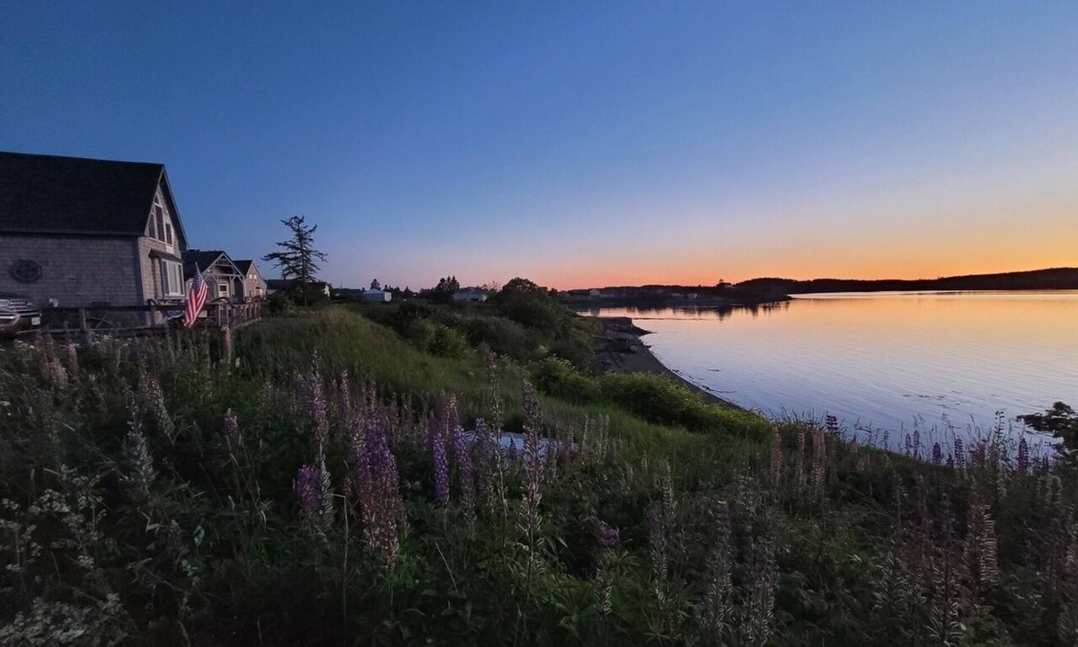 Lubec Cottage | World's highest tides! Pet-friendly, bayfront cottage with a large fenced yard.