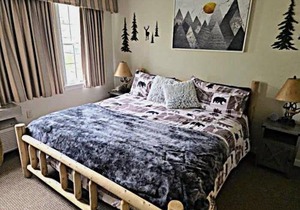 Mountain View Suite Sleeps 4 Ski OnOff Jiminy Peak