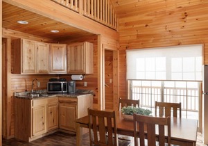 Secluded Mountain View Family Cabin
