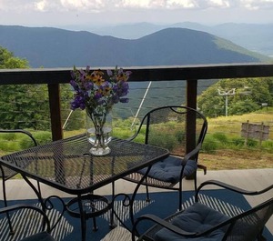 Highlands Wintergreen 