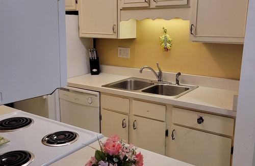 South Hills Condo | 1 BR, 1 Bath, End Unit Condo - Fully Furnished