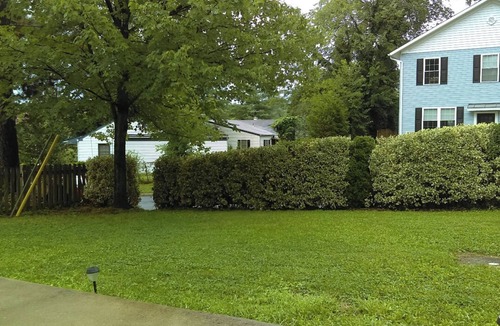 Falls Church House | 2 Bdrm Aloha home Falls Church