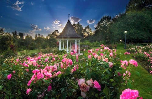 Central Area Hotel | 2 Inviting Accommodations Perfect for a Relaxing Escape and Peaceful Getaway