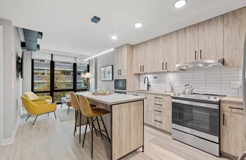 Navy Yard Apartment | 2 Units | Breathtaking DC Getaway w/Rooftop Views | Walk to Parks & Museums