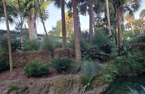 Palmetto Bay Apartment | Airstream pool house, heated pool, lavish gardens, waterfalls, very private.