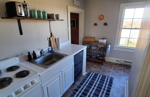 Oakpark Cabin | Bloomingdale Honeymoon Cabin Vintage Retreat with Mountain Views