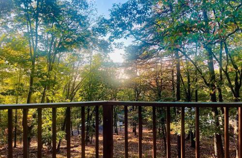 Harrisonville House | Camp Dandelion - Cozy 2BR Cabin Near Cowans Gap