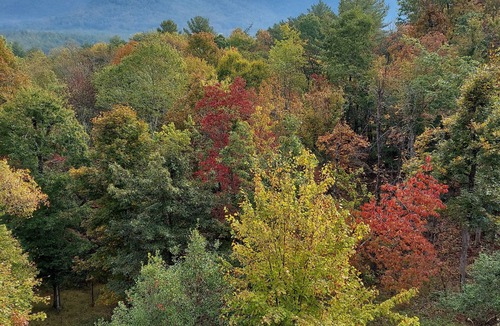 Blairsville Cabin | Cancellation special at July 11-18! Views! Golf! Theater Game Room, Hot Tub,