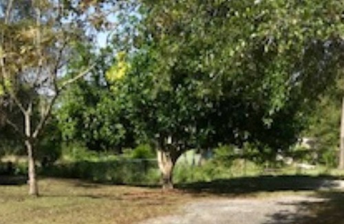 Indian River Estates Cottage | Charming Cozy Cottage Near Downtown