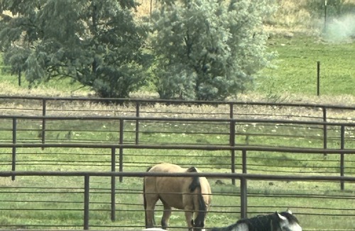 Caldwell Other | Come spend the week at the Silverstone Ranch! Horse arena and stalls available!