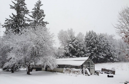 Bennington House | Cozy 1 Bedroom farm stay cottage