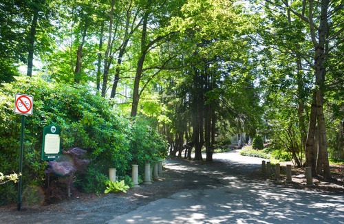 Bar Harbor House | Cozy Dog Friendly House with Deck, Firepit & Fast WiFi in Heart of Bar Harbor