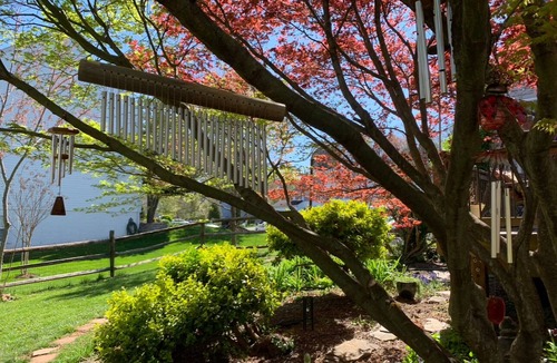 Manassas Apartment | Cozy guest suite in Manassas near historic town and park