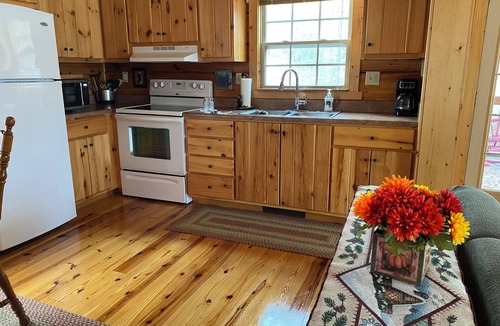 Cranberry Falls Cabin | Cozy Mountain Cabin - Amazing View! Central heat/AC, fireplace, firepit