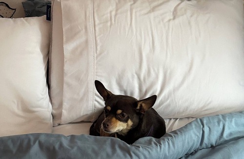 Creemore Bed & Breakfast | Emily's Place B&B