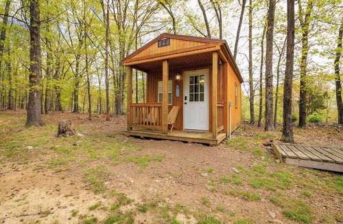 Berkeley Springs Apartment | Enjoy this cabin/tiny home on 24 acres of oak and hickory forest close to Berkeley Springs, WV