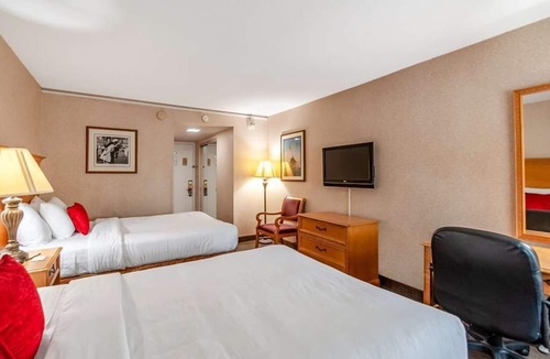 Radnor - Fort Myer Heights Resort | Excellent Choice! 4 Units with Free Parking, Pet-friendly Property!