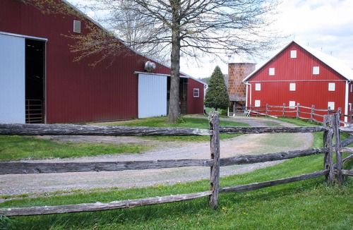 Mount Airy House | Family vacation on a farm near Washington DC, Baltimore, Gettysburg.