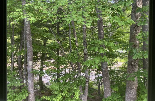 Bartlett House | Family Waterfront Haven on the Saco River, Private Road, Hiking, Outdoor Fun