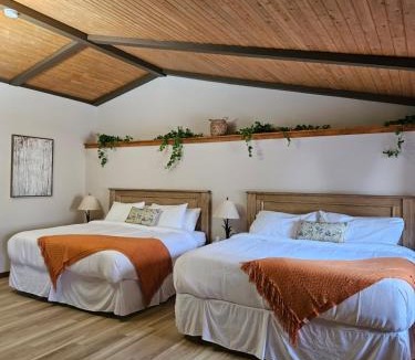 Bathurst Hotel | For-Rest Inn and Spa