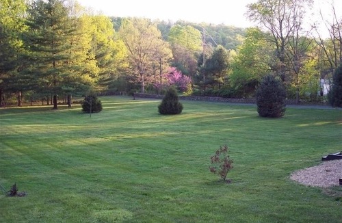 Luray Cabin | Fox Den Cabin-Secluded Mountain Getaway Near Shenandoah National Park
