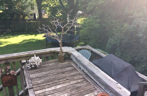 Silver Spring House | Great Location Near DC