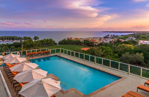Coconut Grove Apartment | Grove Studio Retreat | Steps to Peacock Park