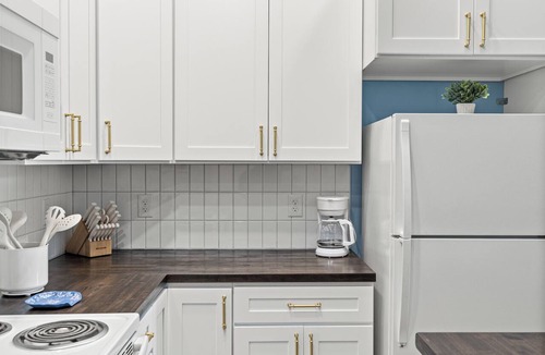 Downtown Apartment | Huge, Downtown, Walkable, Coffee, Breweries, Dogs