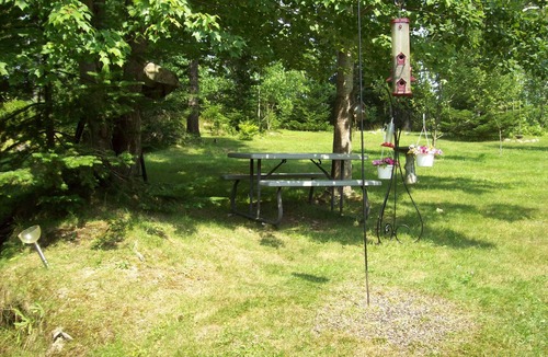 Bar Harbor Cottage | Light Oak Leaf Cottage