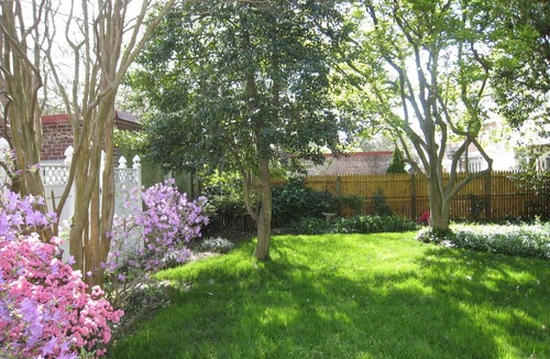 Foxhall Crescent Apartment | Lovely guest suite in a quiet but close-in neighborhood