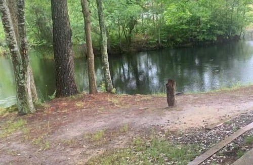 Allen Cabin | Mini Cabin 5 Near Ocean City & Assateague On catch and release fishing lake