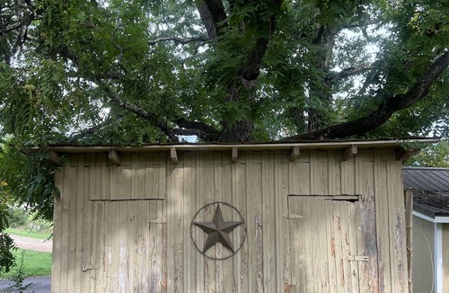 Franklin Cabin | Misty Mountain Cozy & Stylish 2BR Cabin w/Fire Pit near River & Attractions