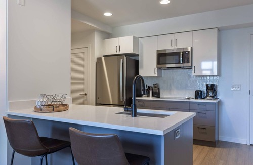 East Cambridge Apartment | Modern Apt | Walk to Restaurants
