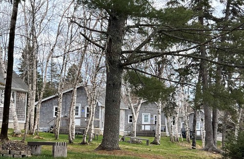 Harrington Cabin | Newly renovated Chickadee cabin on Harrington River, sleeps 4. Pet friendly
