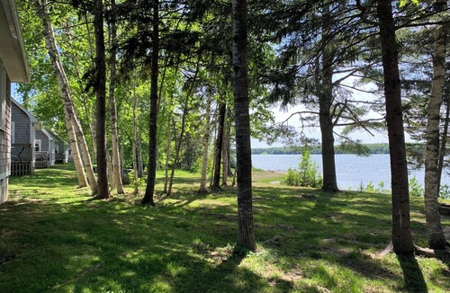 Harrington Cabin | Newly renovated Chickadee cabin on Harrington River, sleeps 4. Pet friendly