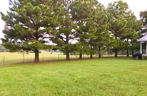 Compton House | Peaceful, Easy-Access Farmhouse < 7 Min From Buffalo Nat'l River & Boxley Valley