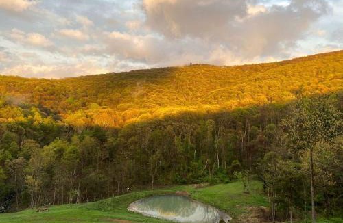 Rileyville House | Peaceful Log Cabin on Private Acres with Creek & Pond in Rileyville, Virginia